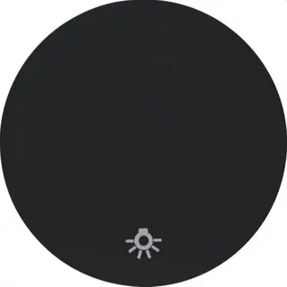 Berker Wippe M316202035 Symbol Licht schwarz glaenzend