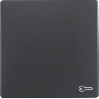 Berker Wippe M316206066 Symbol Tuer anthrazit samt