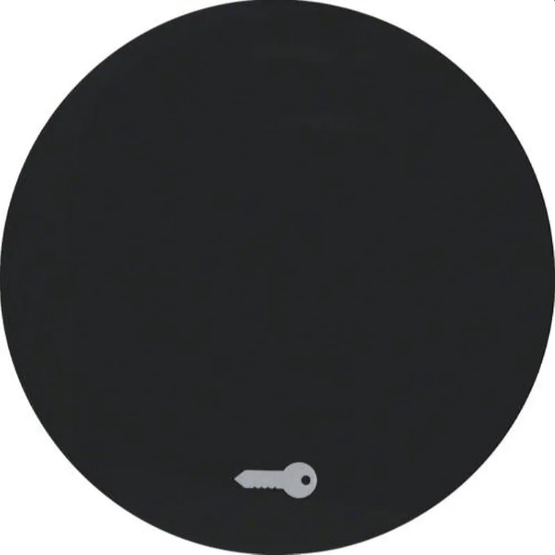 Berker Wippe M316202015 Symbol Tuer schwarz glaenzend