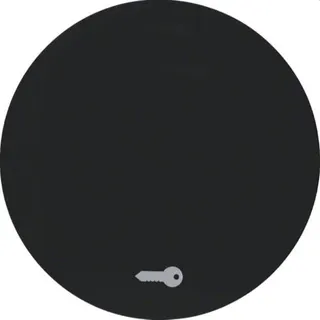 Berker Wippe M316202015 Symbol Tuer schwarz glaenzend