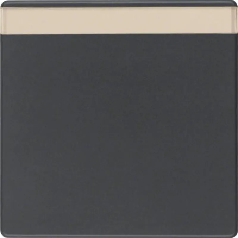 Berker Wippe M316266086 anthrazit samt