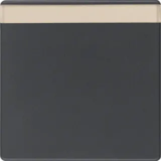 Berker Wippe M316266086 anthrazit samt