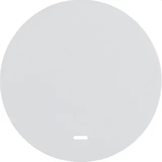 Berker Wippe M316212089 polarweiss glaenzend