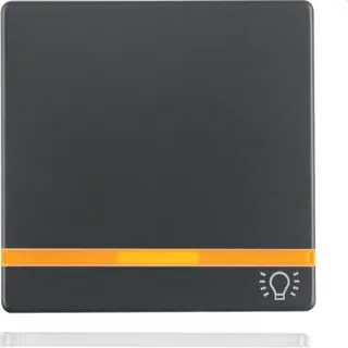 Berker Wippe M316216076 Symbol Licht Q.1/Q.3 anthrazit