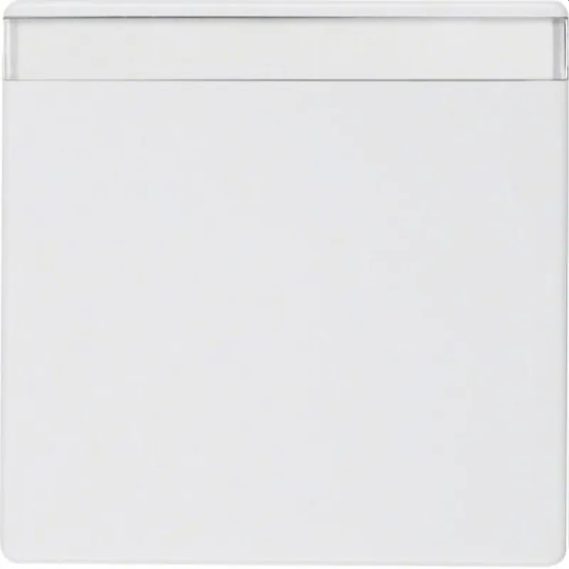 Berker Wippe M316266089 polarweiss samt