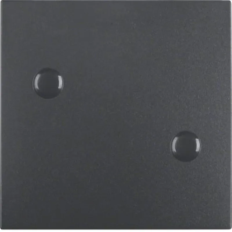 Berker Wippe M315701606 anthrazit matt