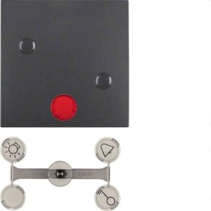 Berker Wippe M315721606 anthrazit matt
