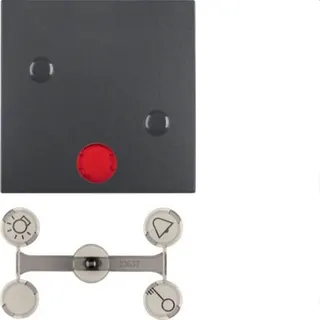 Berker Wippe M315721606 anthrazit matt