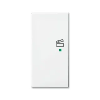 Busch-Jaeger 6233-21-914 2fach Szene Wippe