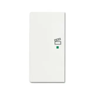 Busch-Jaeger 6233-21-884 2fach Szene Wippe