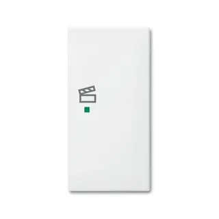 Busch-Jaeger 6233-22-914 2fach Szene Wippe