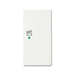 Busch-Jaeger 6233-22-884 2fach Szene Wippe