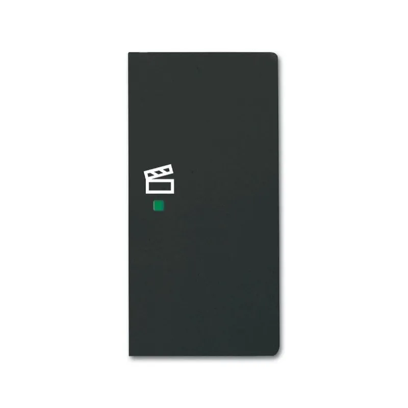 Busch-Jaeger 6233-22-885 2fach Szene Wippe