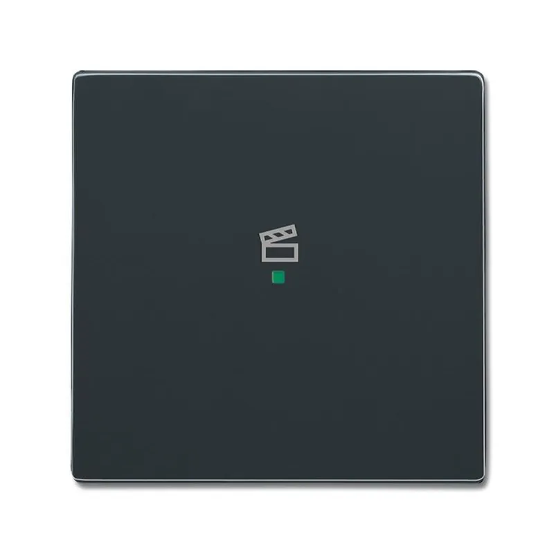 Busch-Jaeger 6233-10-81 1fach Symbol Szene Wippe
