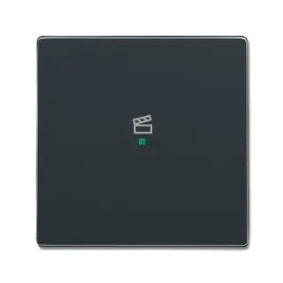 Busch-Jaeger 6233-10-81 1fach Symbol Szene Wippe