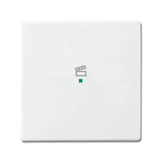Busch-Jaeger 6233-10-84 1fach Symbol Szene Wippe