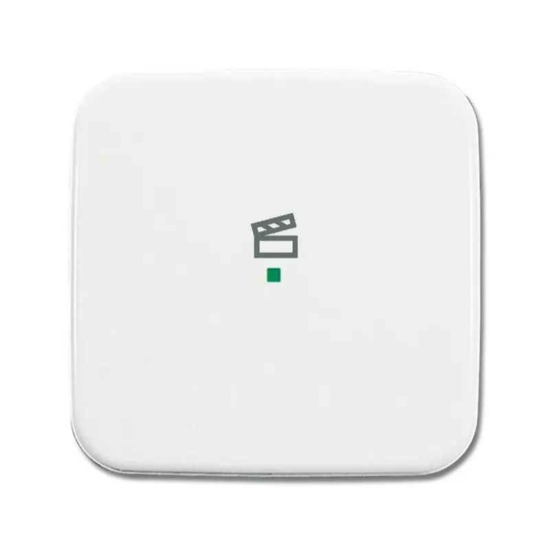 Busch-Jaeger 6233-10-214 1fach Symbol Szene Wippe