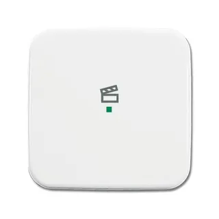 Busch-Jaeger 6233-10-214 1fach Symbol Szene Wippe