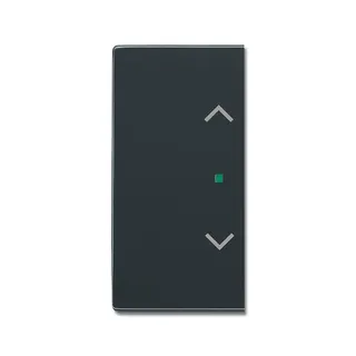 Busch-Jaeger 6232-20-81 2fach Symbol Jalousie Wippe