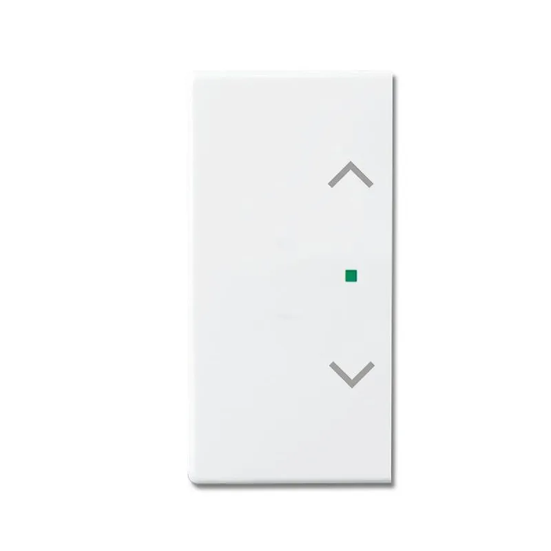 Busch-Jaeger 6232-20-84 2fach Symbol Jalousie Wippe