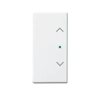 Busch-Jaeger 6232-20-84 2fach Symbol Jalousie Wippe