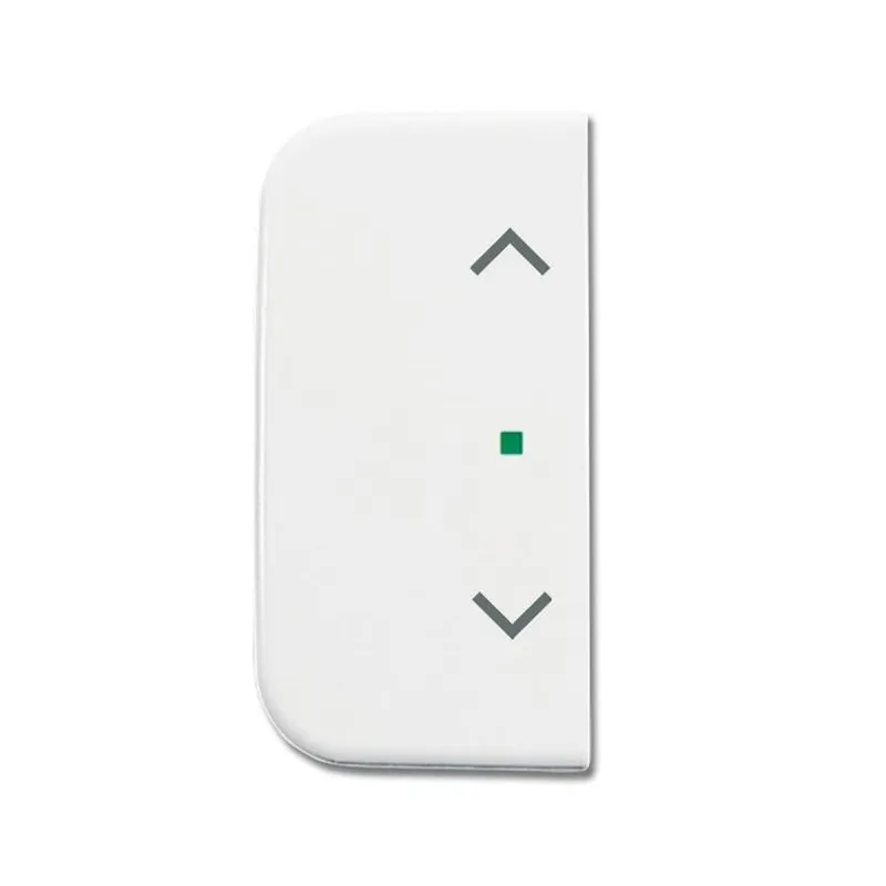 Busch-Jaeger 6232-20-214 2fach Symbol Jalousie Wippe