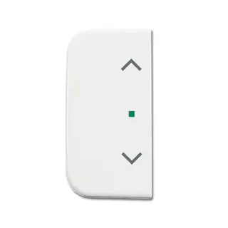 Busch-Jaeger 6232-20-214 2fach Symbol Jalousie Wippe