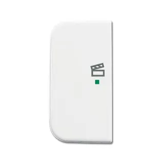 Busch-Jaeger 6233-21-214 2fach links Symbol Szene Wippe