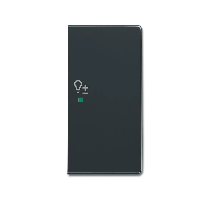 Busch-Jaeger 6234-22-81 2fach rechts Symbol Dimmer Wippe