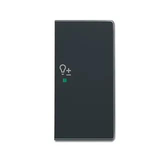 Busch-Jaeger 6234-22-81 2fach rechts Symbol Dimmer Wippe