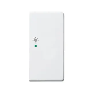 Busch-Jaeger 6231-22-84 2fach rechts Symbol Licht Wippe