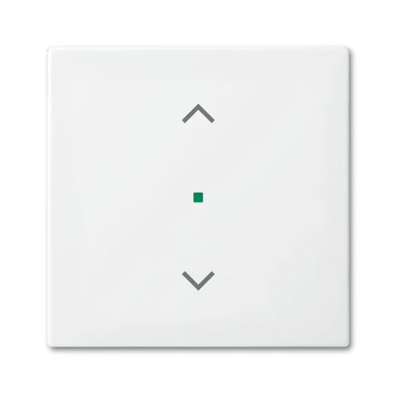 Busch-Jaeger 6232-10-914 1fach Jalousie Wippe