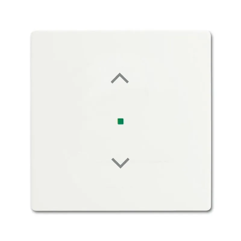 Busch-Jaeger 6232-10-884 1fach Jalousie Wippe