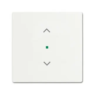 Busch-Jaeger 6232-10-884 1fach Jalousie Wippe