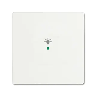 Busch-Jaeger 6231-10-884 1fach Licht Wippe