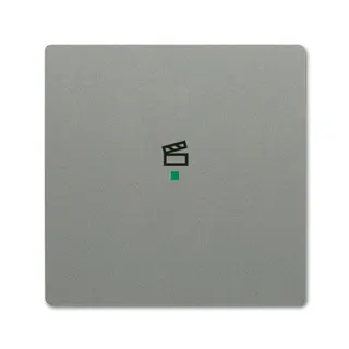 Busch-Jaeger 6233-10-803 1fach Szene Wippe