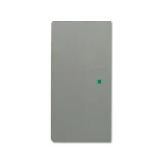 Busch-Jaeger 6230-20-803 2fach Wippe