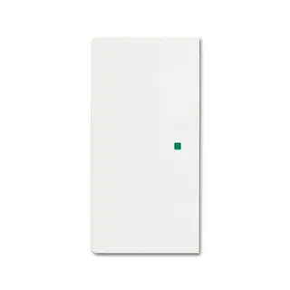 Busch-Jaeger 6230-20-884 2fach Wippe