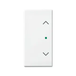Busch-Jaeger 6232-20-914 2fach Jalousie Wippe