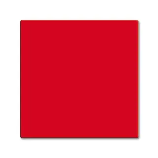 Busch-Jaeger 2506-917 rot Wippe