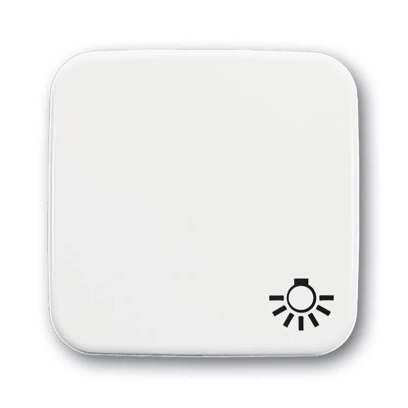 Busch-Jaeger 2520 LI-214 Symbol Licht Wippe