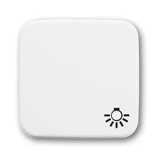 Busch-Jaeger 2520 LI-214 Symbol Licht Wippe