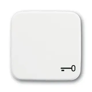 Busch-Jaeger 2520 TR-214 Symbol Schluessel Wippe