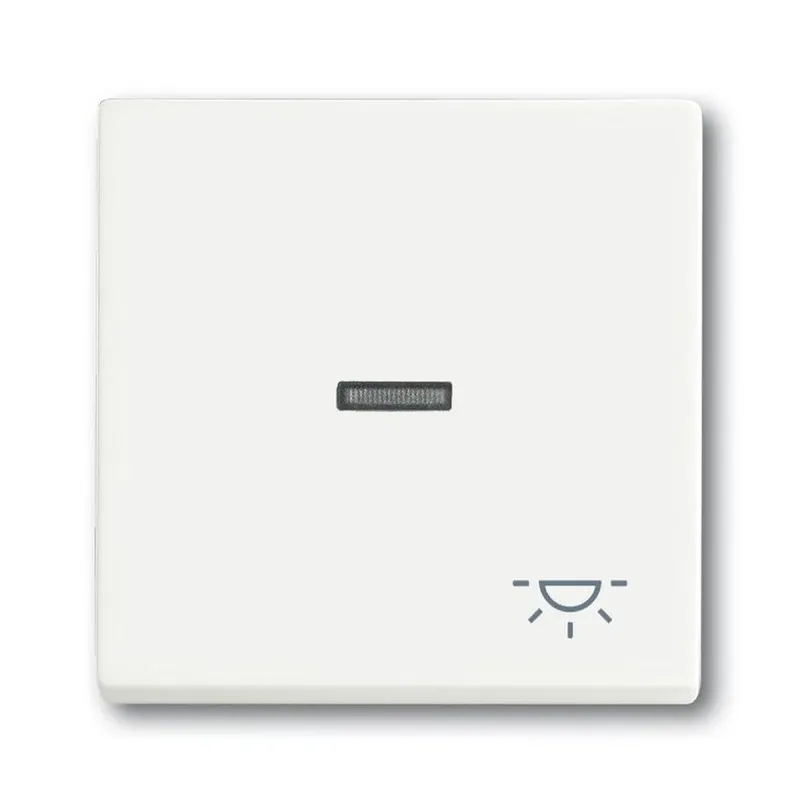 Busch-Jaeger 1789 LI-884 Symbol Licht Wippe