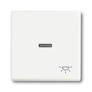 Busch-Jaeger 1789 LI-884 Symbol Licht Wippe