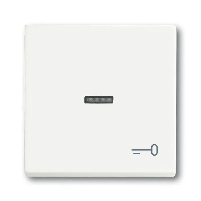 Busch-Jaeger 1789 TR-884 Symbol Schluessel Wippe