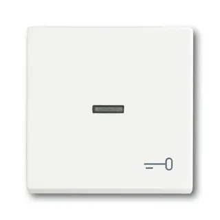Busch-Jaeger 1789 TR-884 Symbol Schluessel Wippe