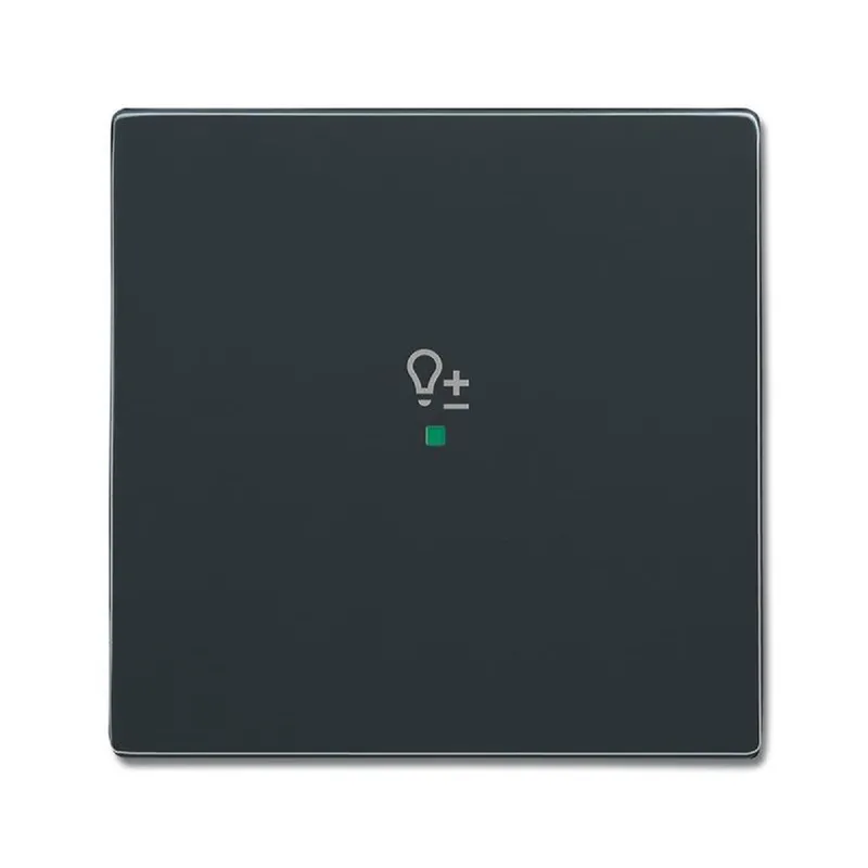Busch-Jaeger 6234-10-81 1fach Symbol Dimmer Wippe