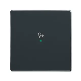 Busch-Jaeger 6234-10-81 1fach Symbol Dimmer Wippe
