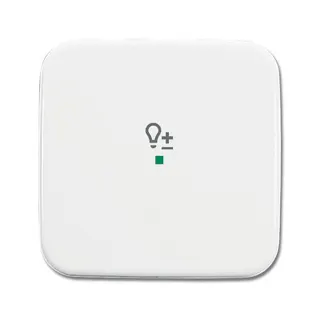 Busch-Jaeger 6234-10-214 1fach Symbol Dimmer Wippe